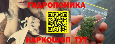мдпв Можга